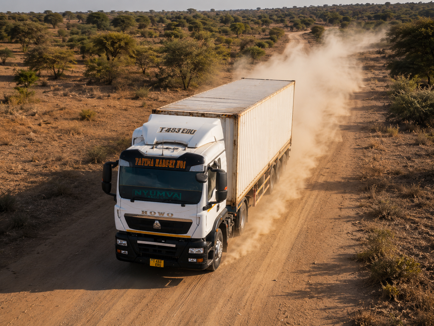 Domestic and cross-border road freight transportation